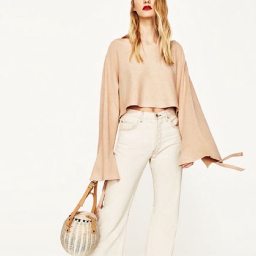 Zara Raffia Straw Basket Bag